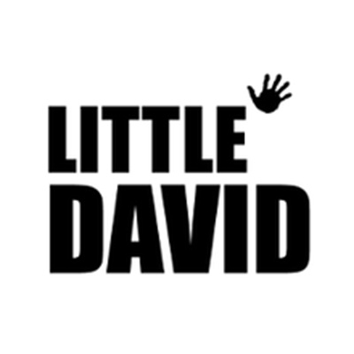 569_Littledavid.jpg