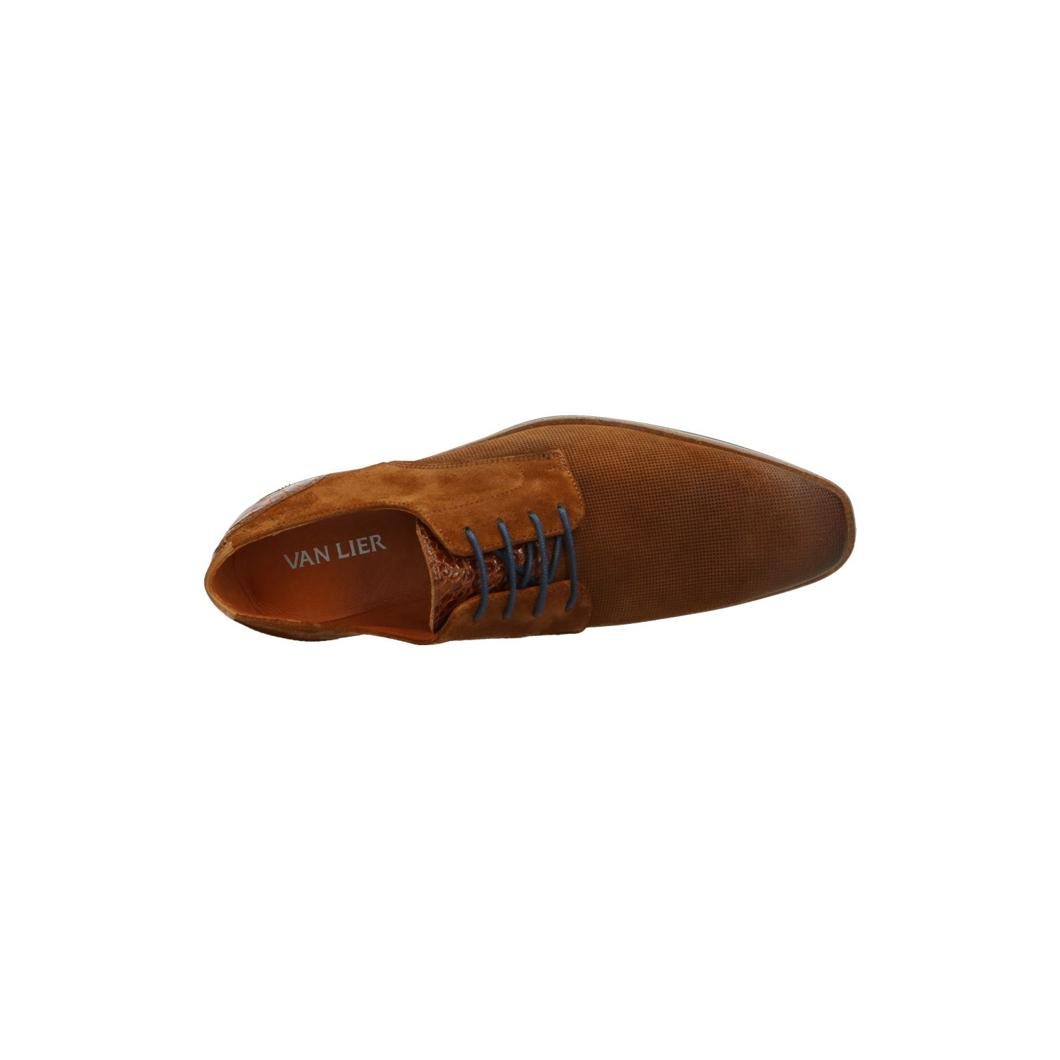 Van lier instappers best sale